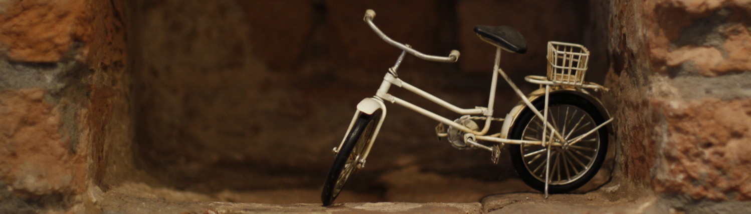 Ciclofficina Garibaldi – il tuo ciclista a Pavia